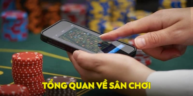 Tổng quan về sân chơi